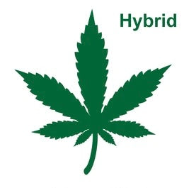 Hybrid 1g Glo Cart